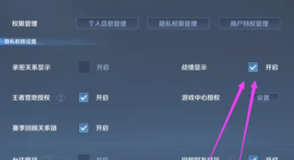 王者荣耀手游怎么隐藏场次信息战绩设置